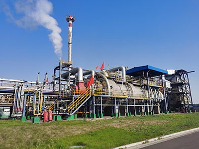 孝义鹏飞-废气燃烧装置 - 恒峰g22图片2